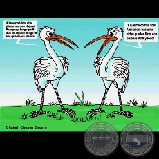 ENCARGOS - Obra de Chester Swann